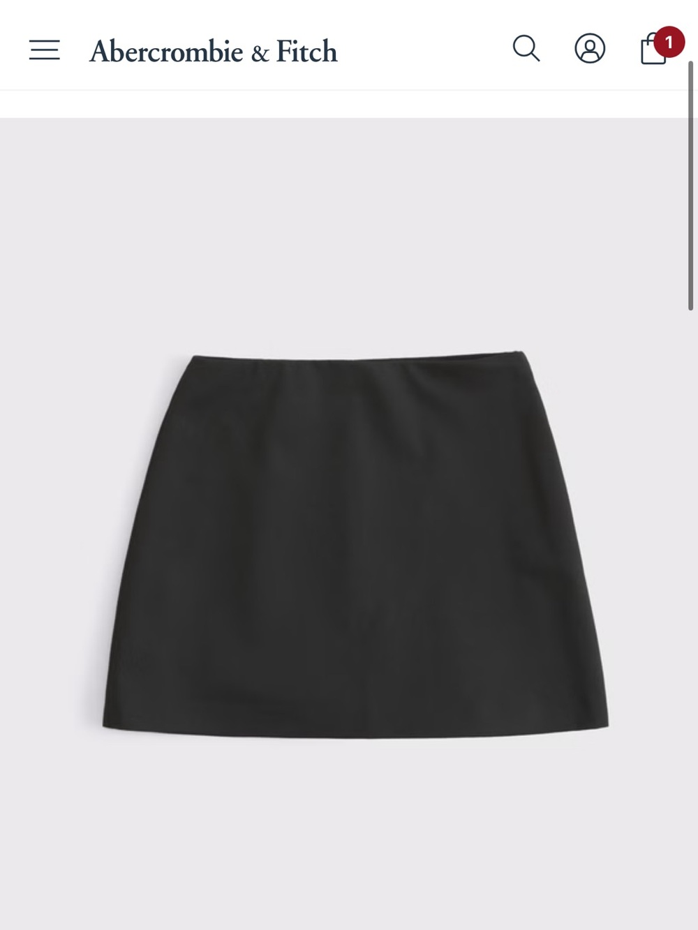 Black mini skirt